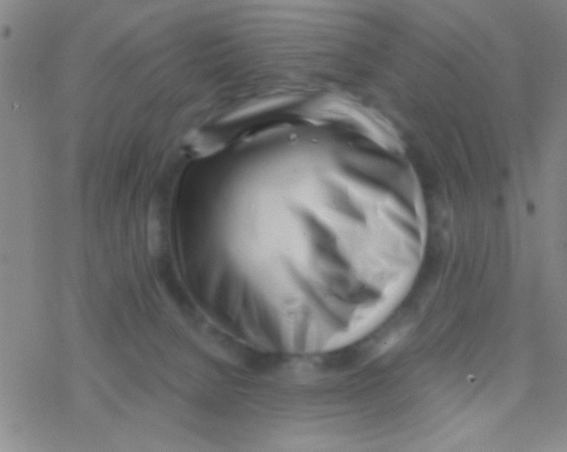 X0000076250080200610261951