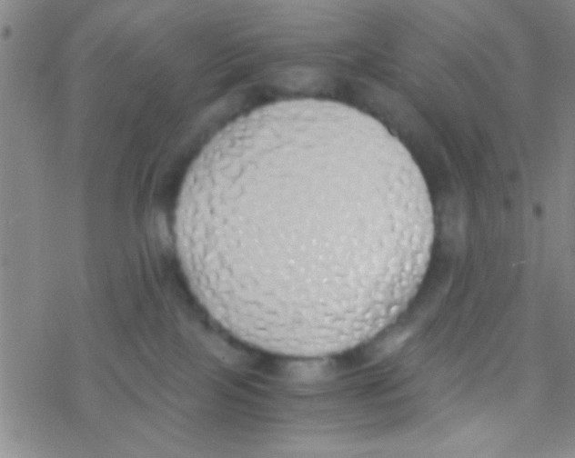 X0000076250089200610261951