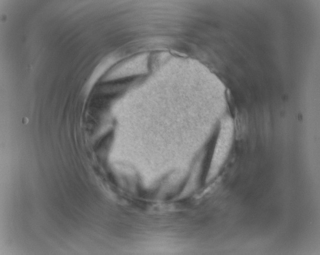 X0000076250099200610261950