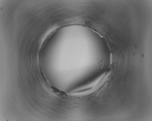 X0000076250148200610261949