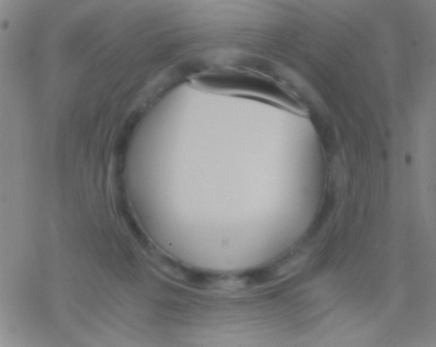 X0000076250217200610261948