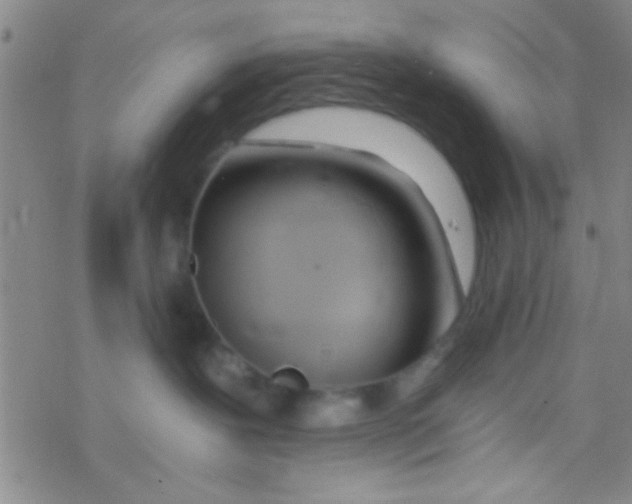 X0000076250239200610261948