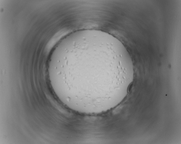 X0000076250242200610261947