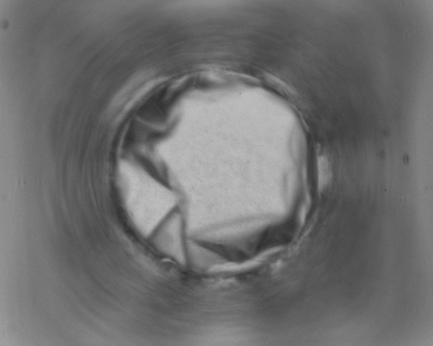 X0000076250243200610261947