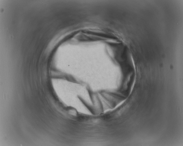 X0000076250247200610261947