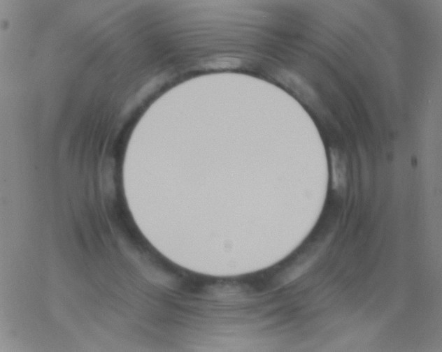 X0000076250300200610261947