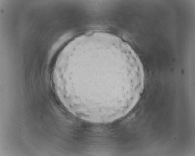 X0000076250343200610261946