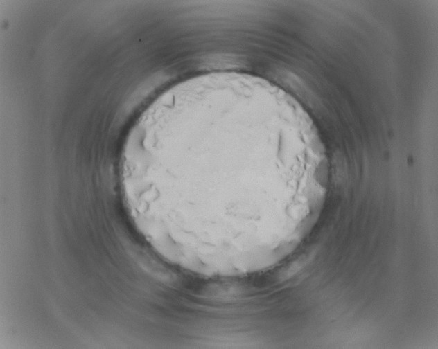 X0000076250351200610261946