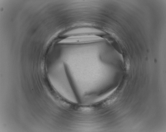 X0000076250352200610261946