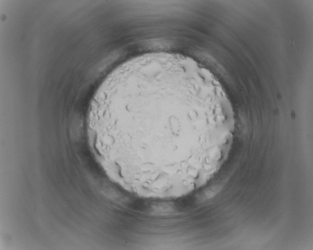 X0000076250355200610261946