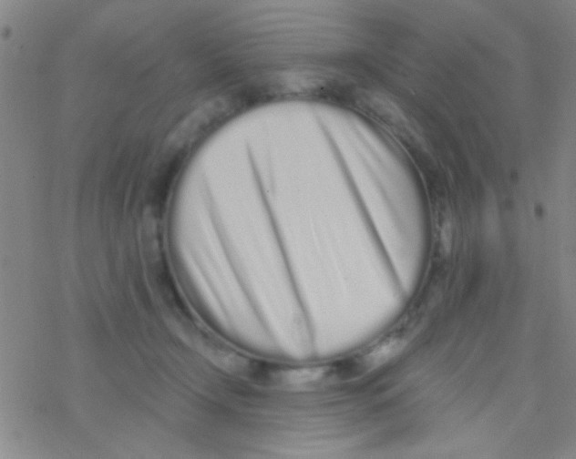X0000076250366200610261946