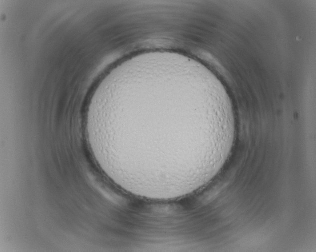 X0000076250439200610261944