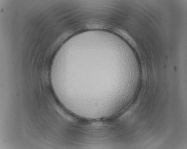 X0000076250441200610261944