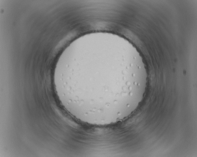 X0000076250442200610261944