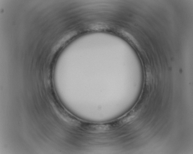 X0000076250443200610261944