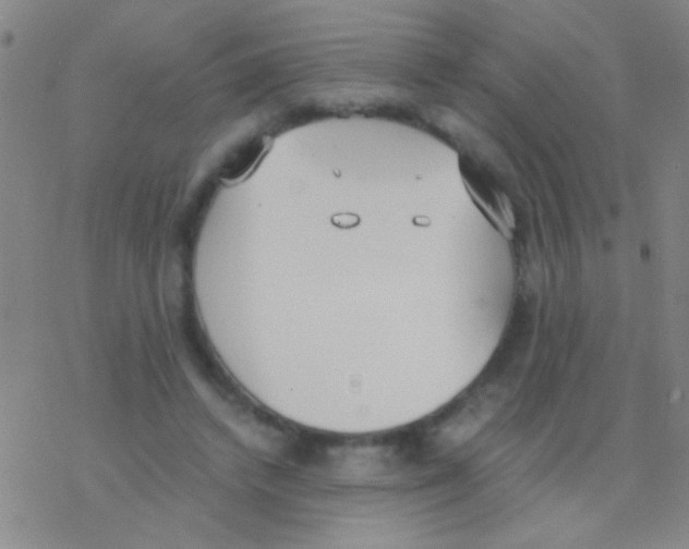 X0000076250448200610261944