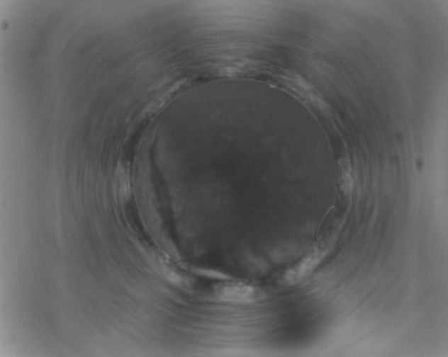 X0000076250471200610261945