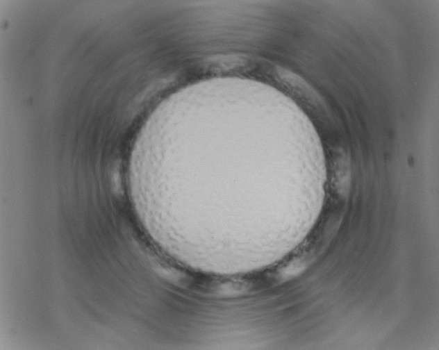 X0000076250510200610261943
