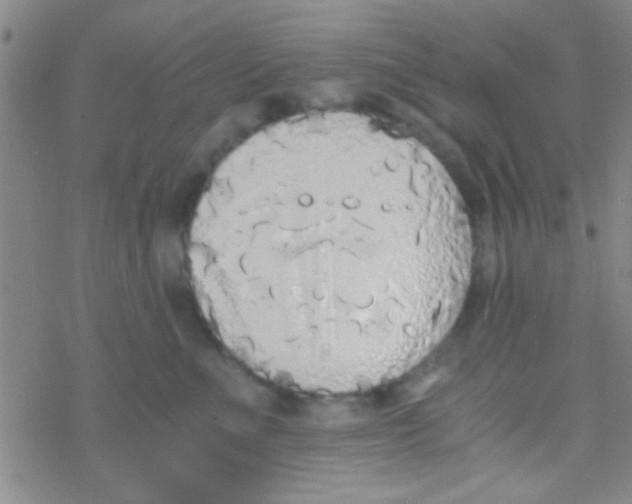 X0000076250523200610261943