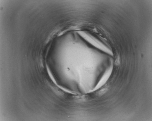 X0000076250524200610261943