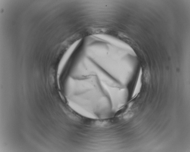 X0000076250570200610261943