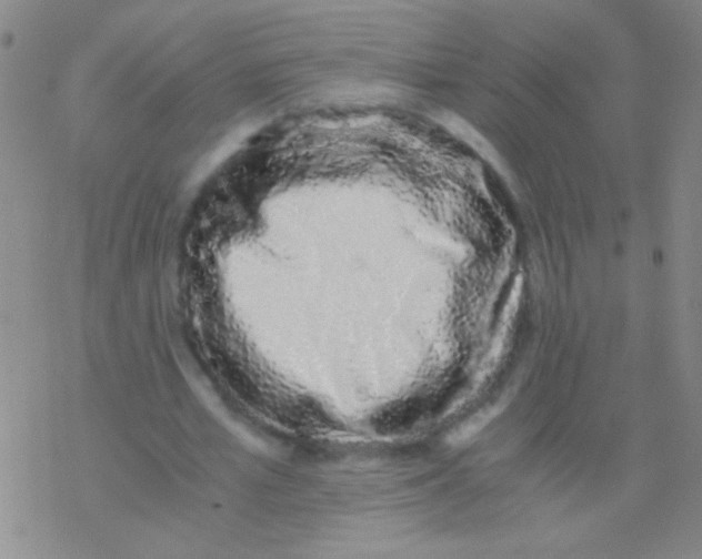 X0000076250581200610261942