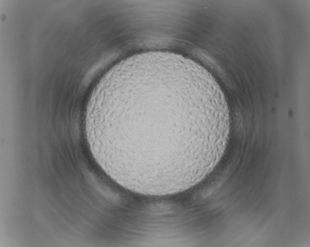 X0000076250586200610261942