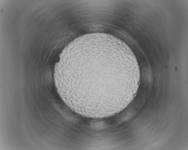 X0000076250602200610261942