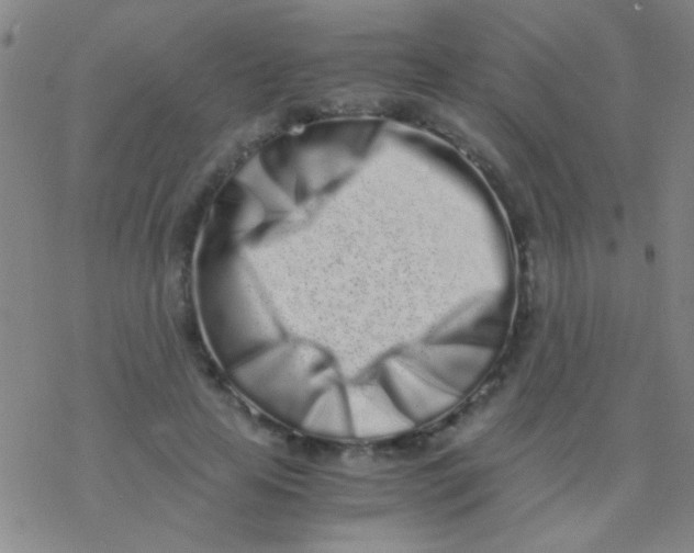 X0000076250641200610261941