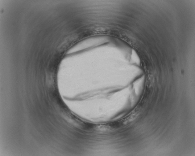 X0000076250654200610261941