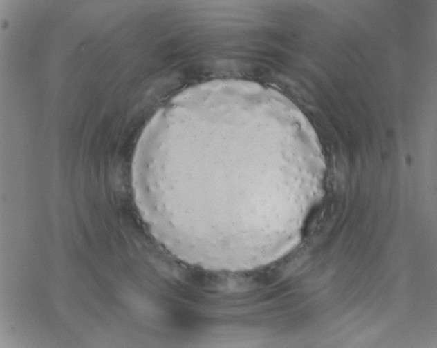 X0000076250663200610261941