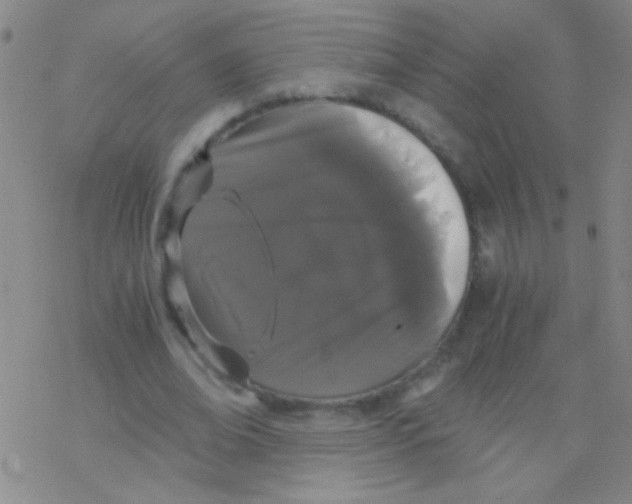 X0000076250678200610261941
