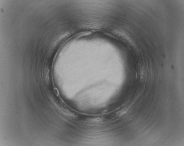 X0000076250692200610261940