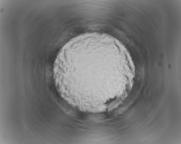 X0000076250707200610261940
