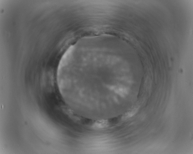 X0000076250720200610261940