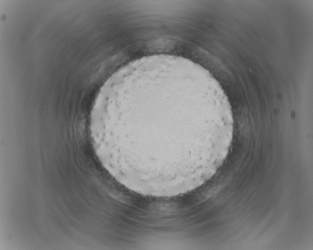 X0000076250745200610261940