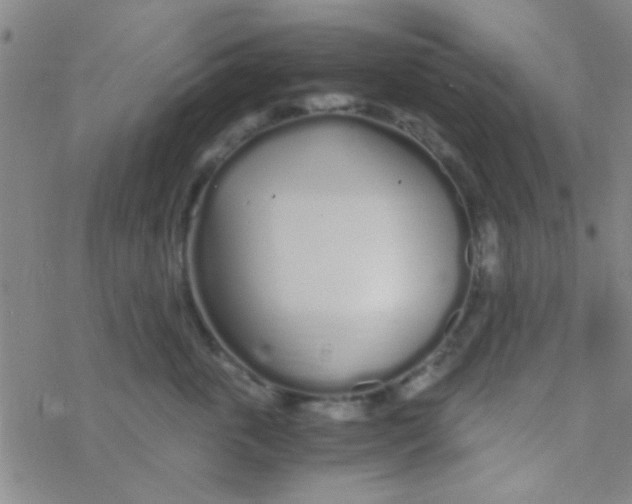 X0000076250763200610261940