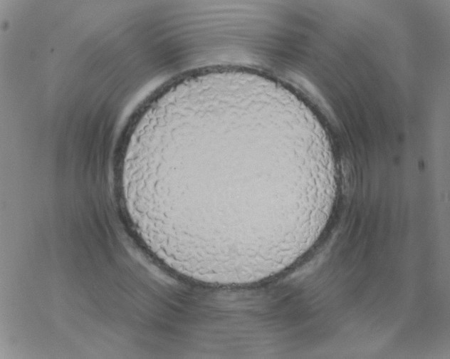 X0000076250780200610261939