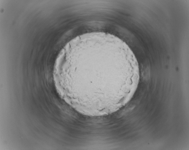X0000076250819200610261938