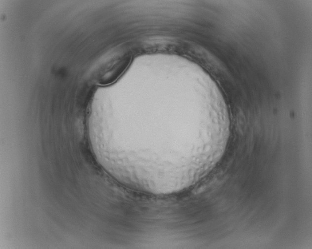 X0000076250821200610261938