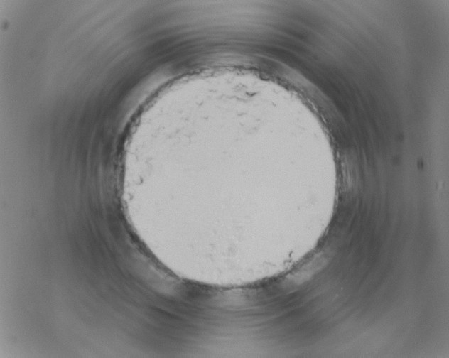 X0000076250828200610261938