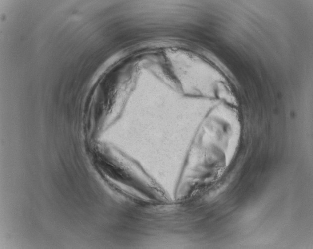 X0000076250853200610261938