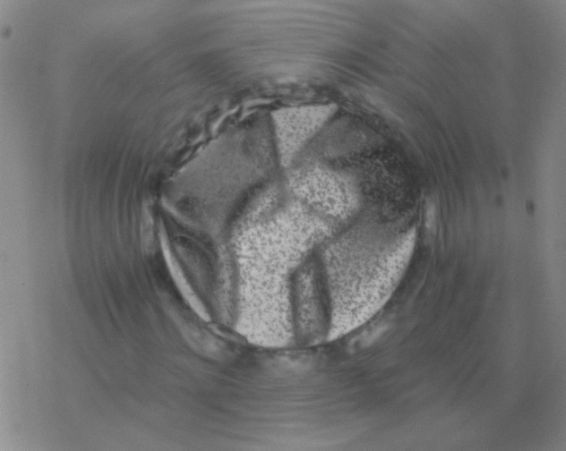 X0000076250868200610261938