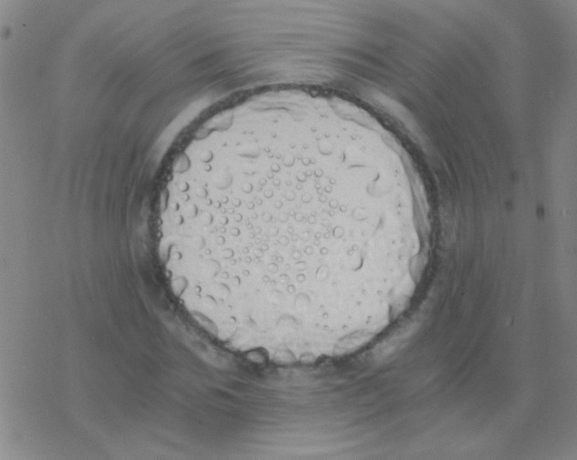 X0000076250875200610261938