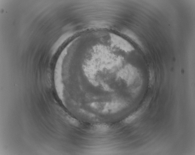 X0000076250878200610261937