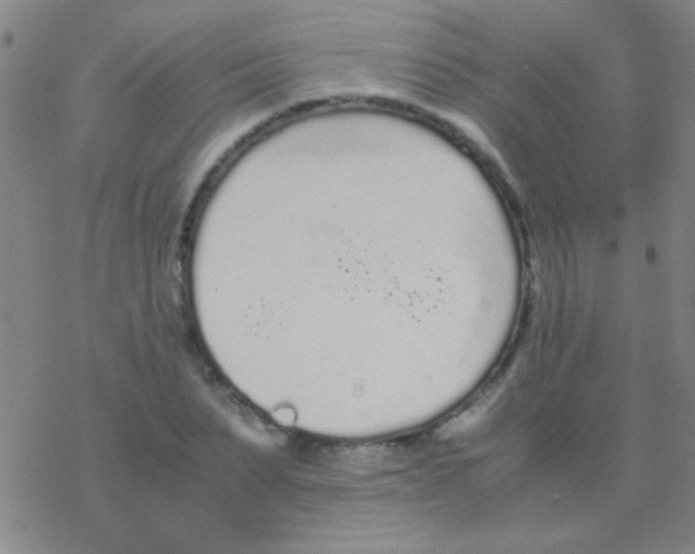 X0000076250879200610261937