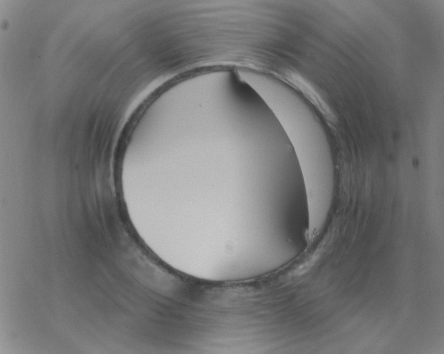 X0000076250884200610261937