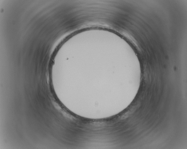 X0000076250888200610261937