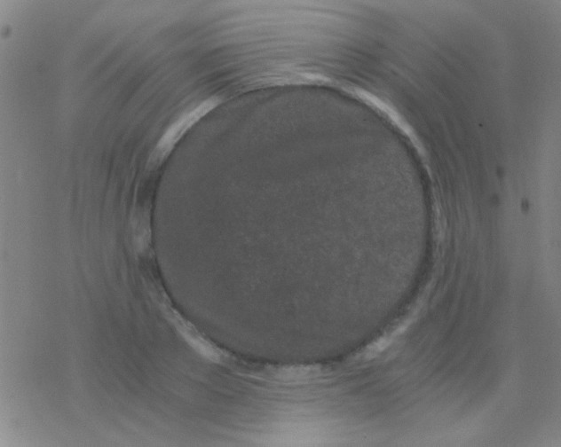 X0000076250889200610261937