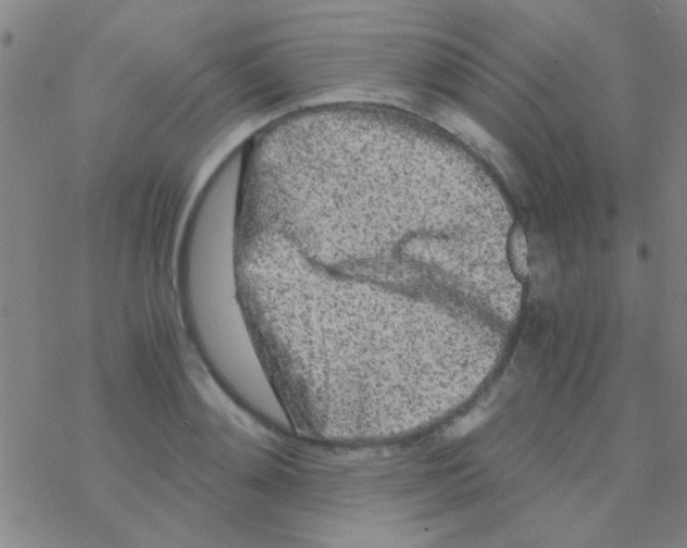 X0000076250892200610261937